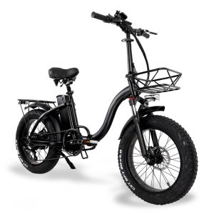 Elektrinis dviratis Y20 Fatbike